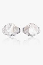 Fan Earrings
